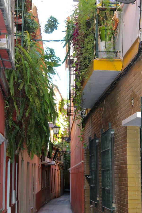 Green Street Sevilla Eksteriør bilde